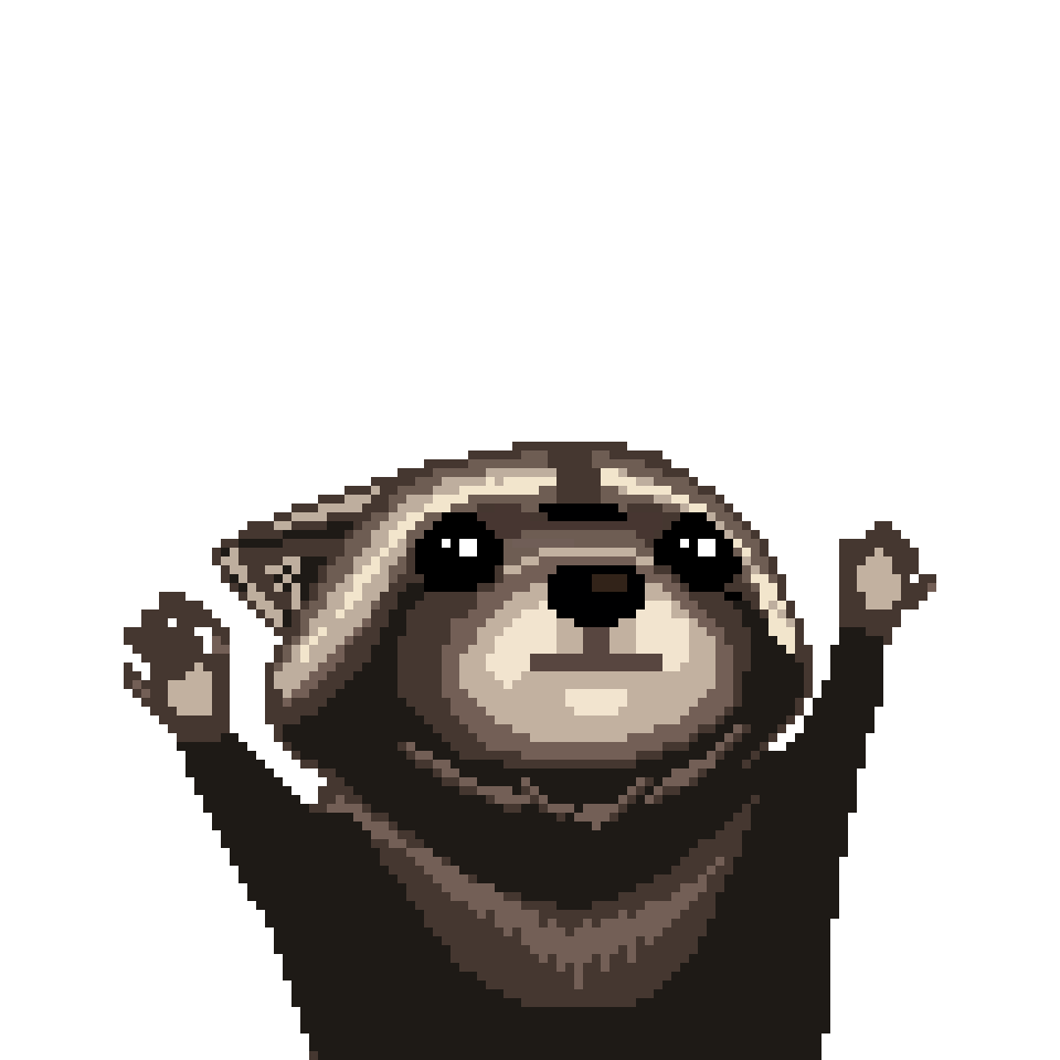 Raccoon